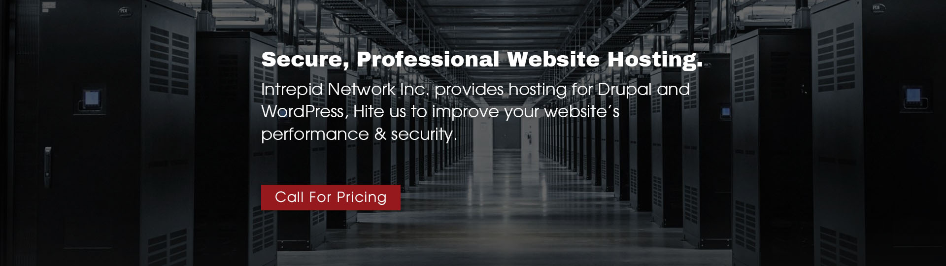 Secure Professional Website Hosting with Intrepid Network