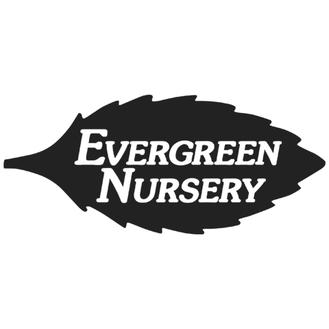 Evergreen Nursery