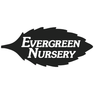 Evergreen Nursery